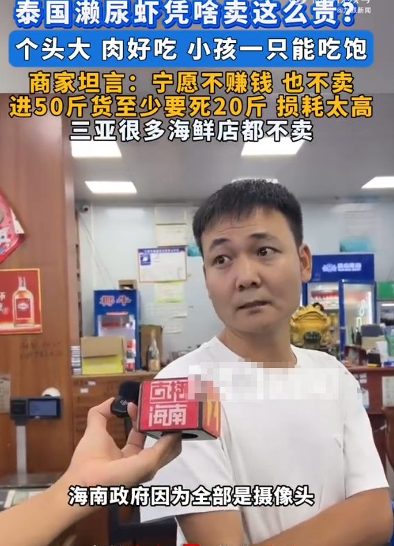 隔壁海鲜店出面道出行业实情，让三亚千元皮皮虾事件迎来现实反转。同行坦言涉事的