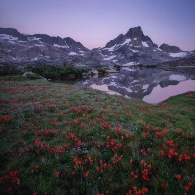 花海，远山，美仑美奂。