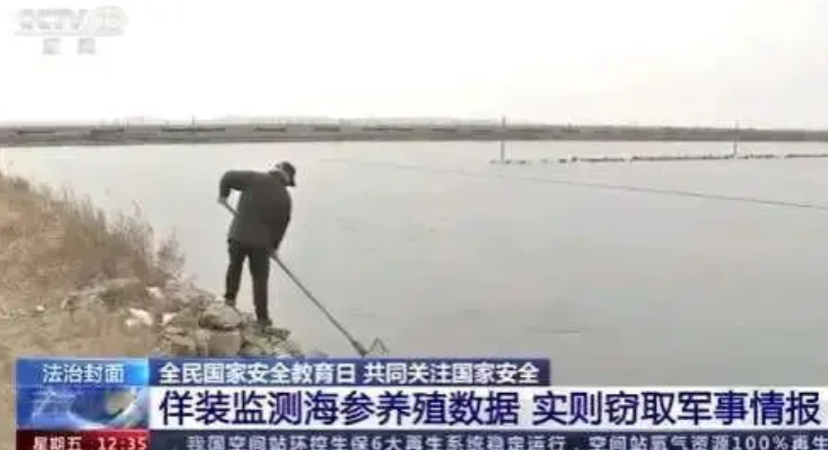 “我信你个鬼，你个死间谍！”2023年，大连一海参养殖户偶然发现自家养殖场有间谍
