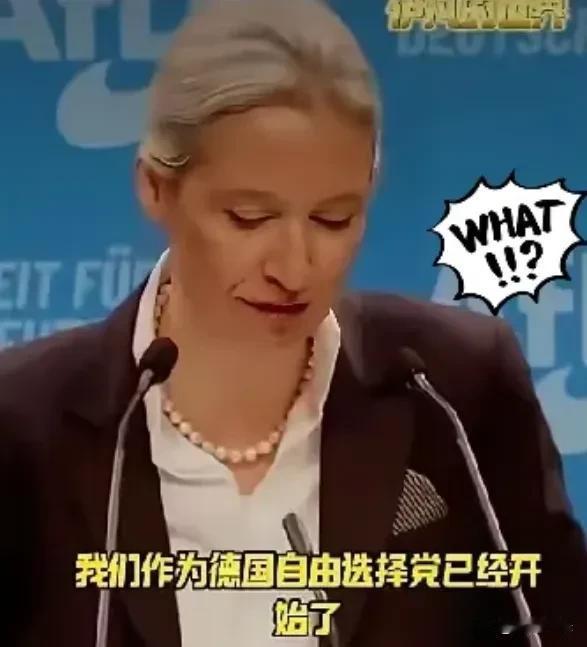 德国人为什么选择魏德尔。因为德国不想被犹太人绑架。这个前纳粹高官的女儿，虽然浑身