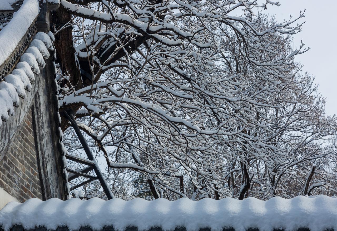 七律·大雪大雪如期冷意浓天时变换入寒冬一朝落絮千山素连夜凝冰万里封竹院