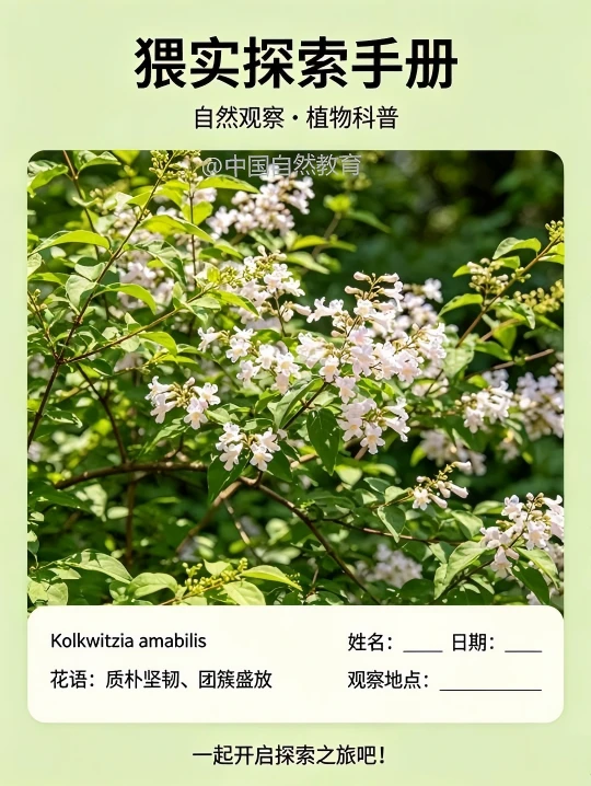 超好养的存在｜猥实