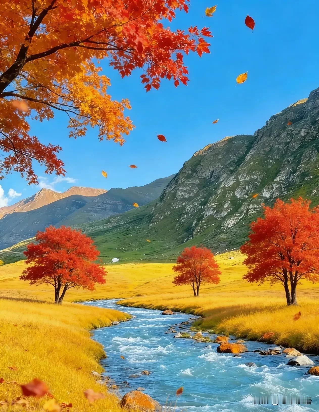 说一个事实：退休后，你到处参加聚会，老同学、老熟人都联系起来，你就会有随不完的礼