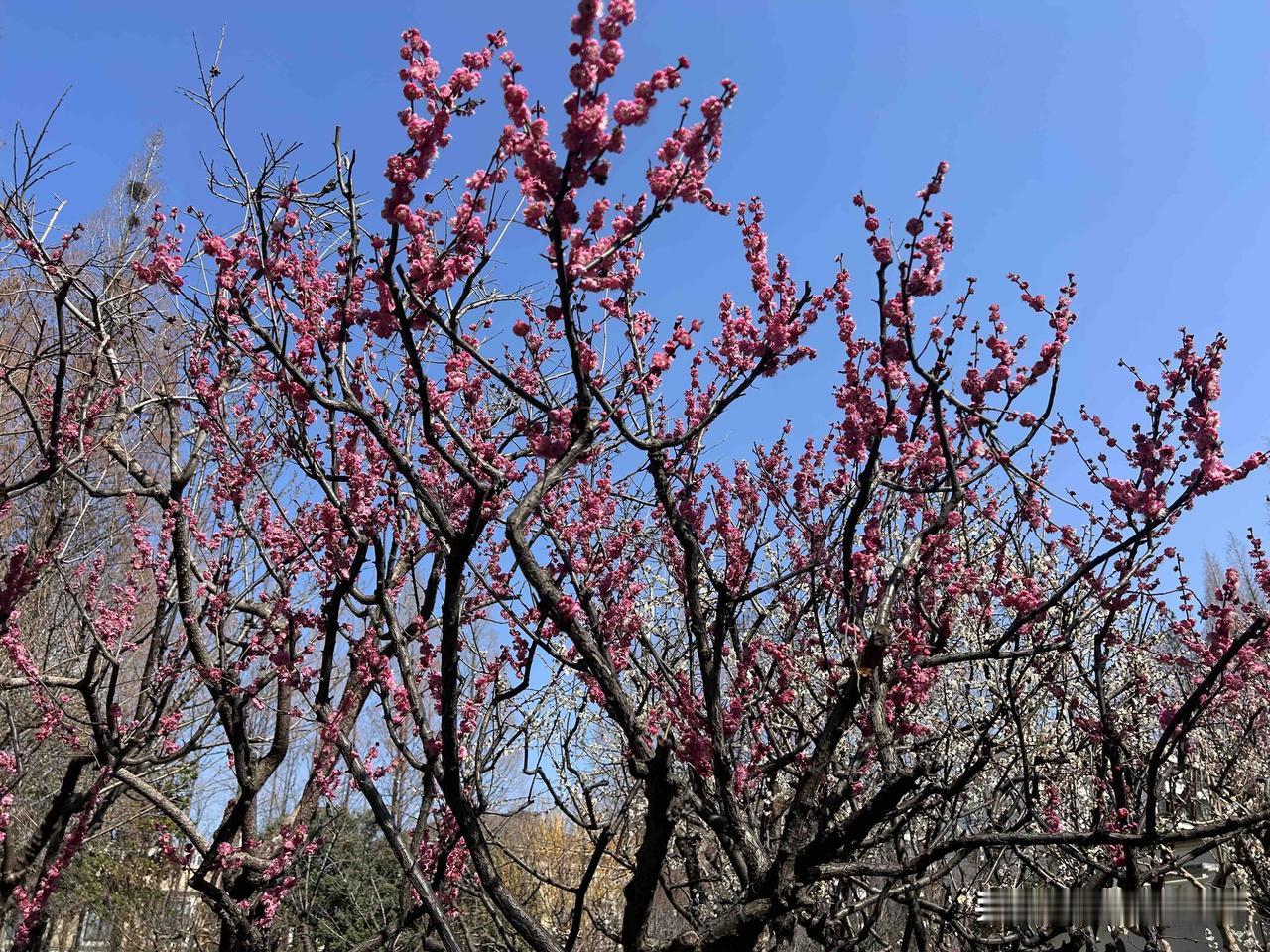 存款100万但是老公工资低怎么办已婚有一个三个月大的儿子，无车贷，房贷由老公的