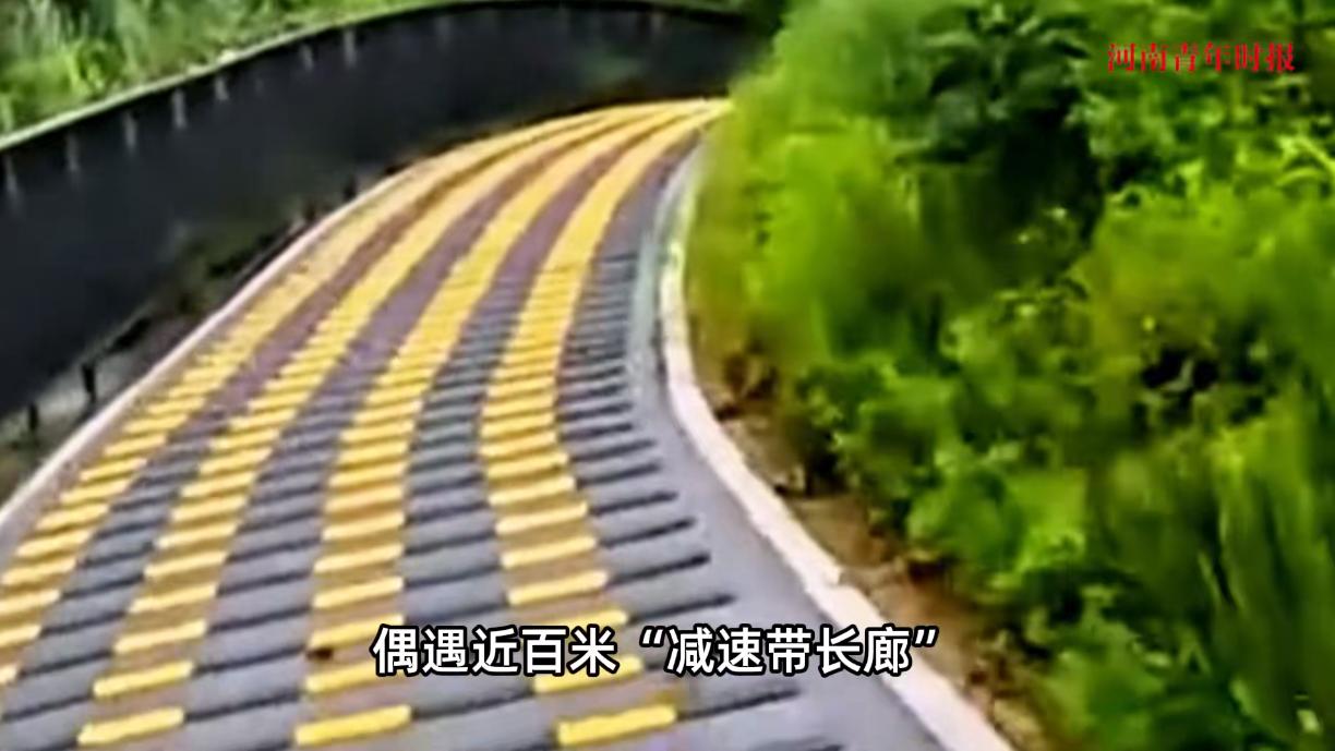 “彻底解释不清了！”近日，广东深圳，一位男子骑着自行车在公园的步行道上行驶，结果