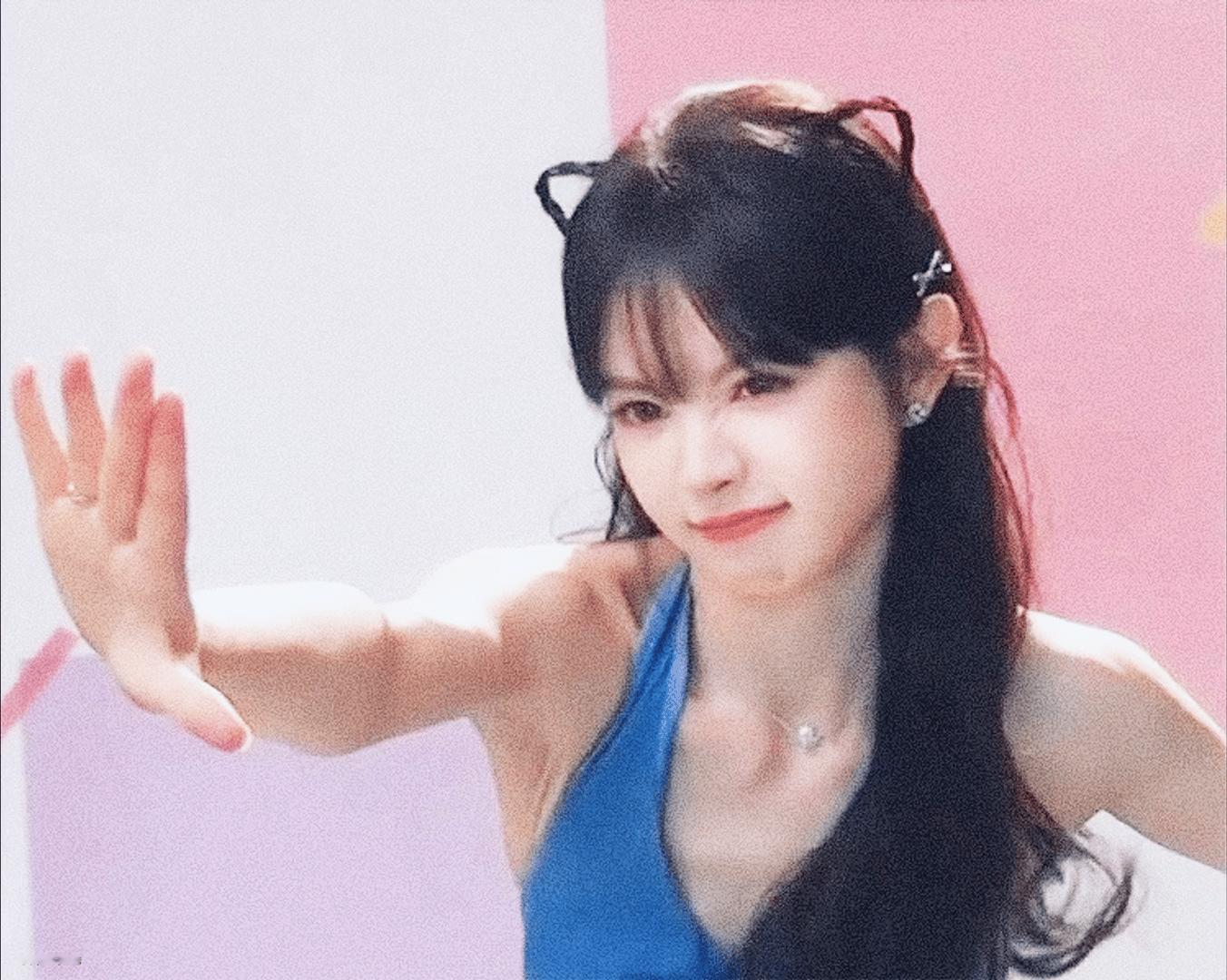 爱上这只猫猫是命中注定的事🎀田曦薇​​​