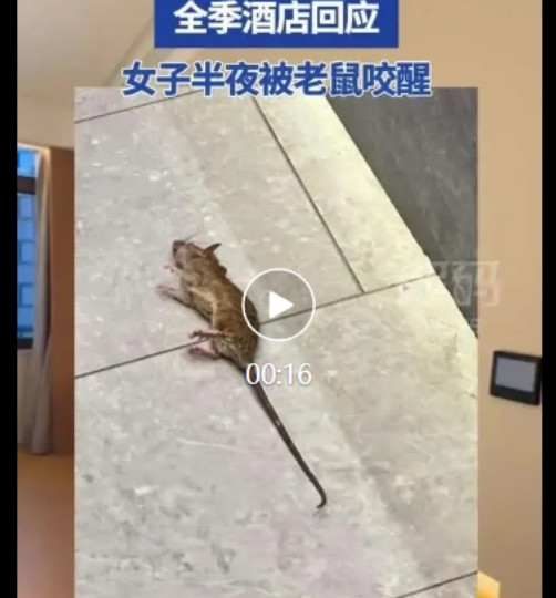 “太恶心了！“7月13日女子入住全季酒店，结果半夜被胳膊剧痛疼醒，开灯一看已经被