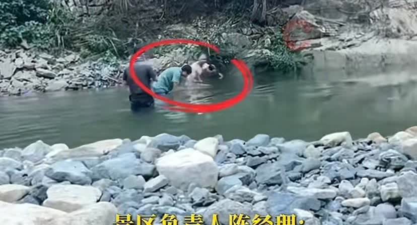 浙江杭州，女子在景区漂流时手机不慎落水，村民捞起后索要1500块辛苦费。女子不同