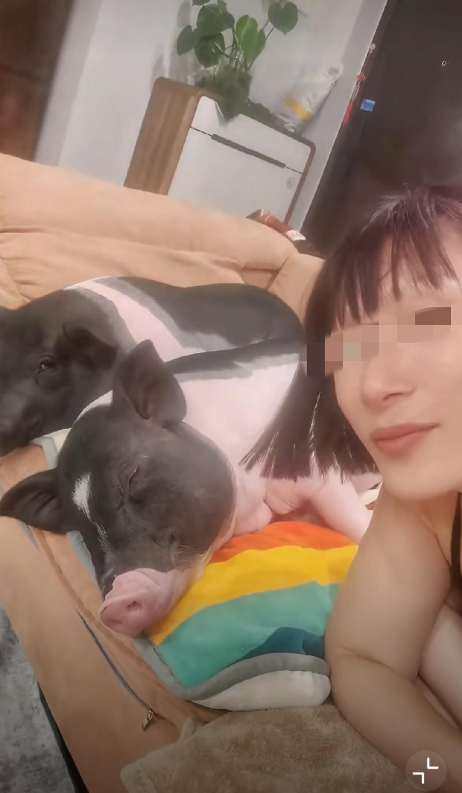 养这玩意确定不串味吗？[？？？]养猫狗鸡鹅我家的治愈动物养⻥