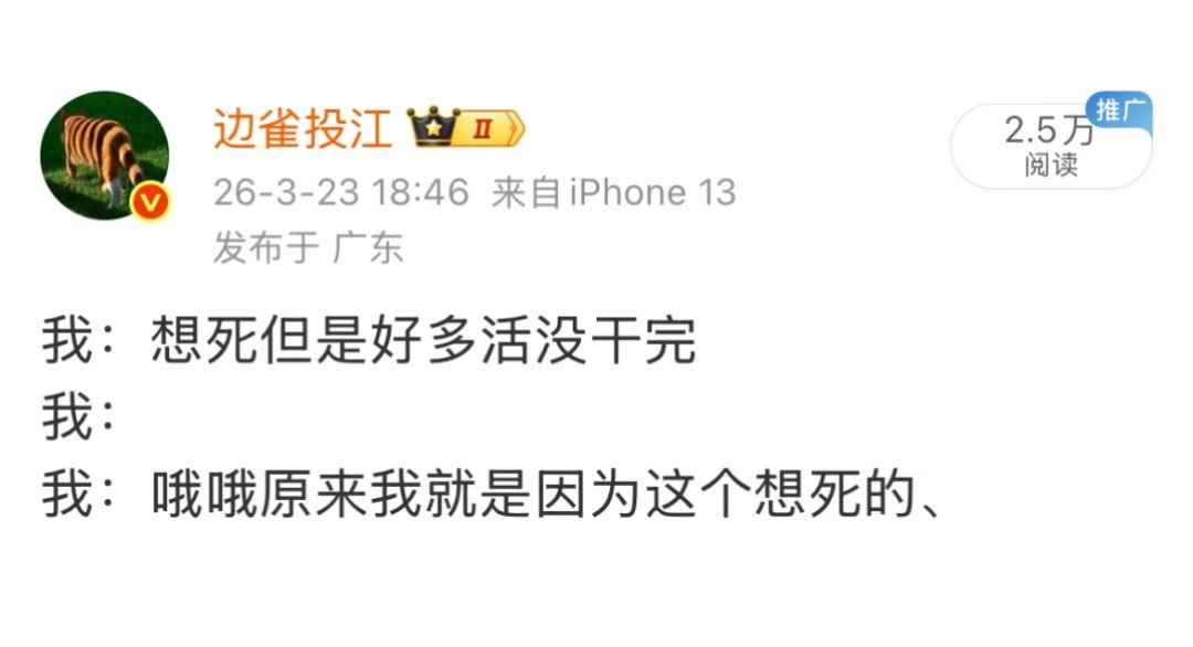 打工派比格精选
