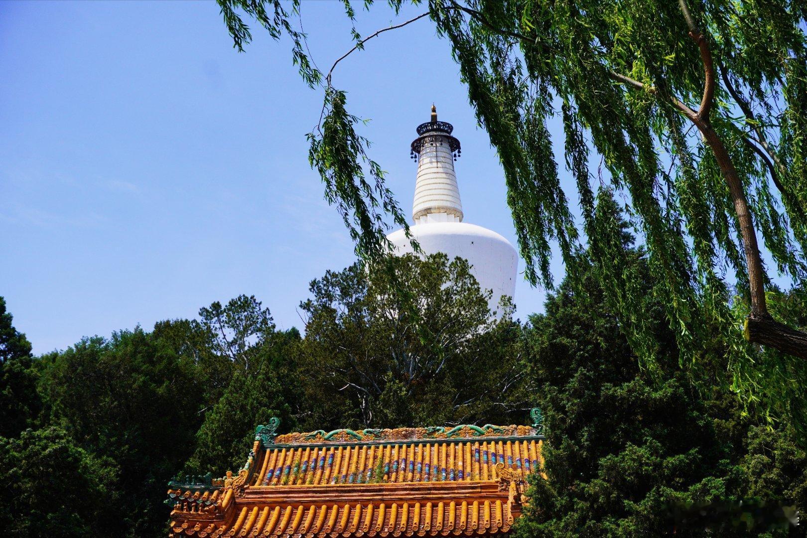 初夏北京北海公园摄影​​​