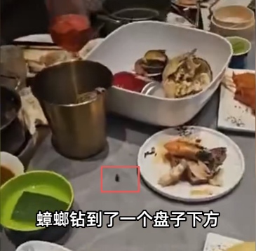 “解释不清了！”9月28日，山东济南，一家高档自助海鲜餐厅来了一行10位顾客，他
