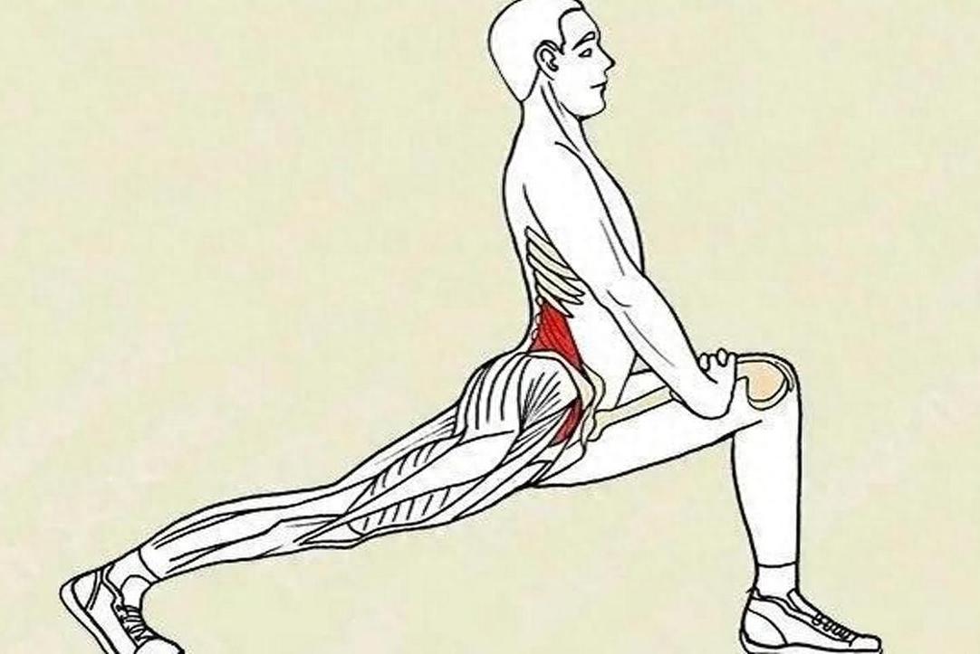 膝关节退变、半月板磨损不用慌！养筋汤补肝血、强筋骨，疼痛酸麻慢慢消我是陈大夫⚠