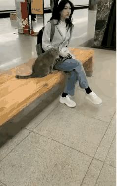 大学投喂4年的流浪猫被带回老家，半年后邻居报警，推门瞬间所有人怒了！