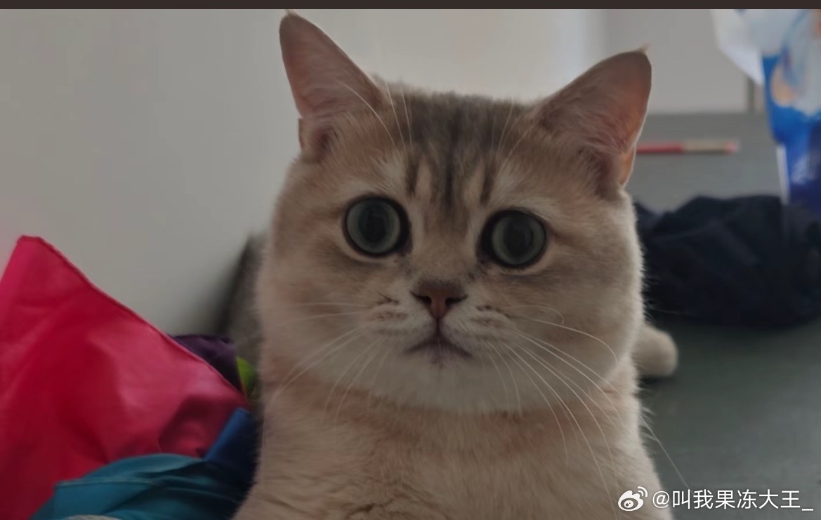 我看到他们两个，我的表情就是这种，旅游不花钱还能赚钱，主要是他还玩了5个市200