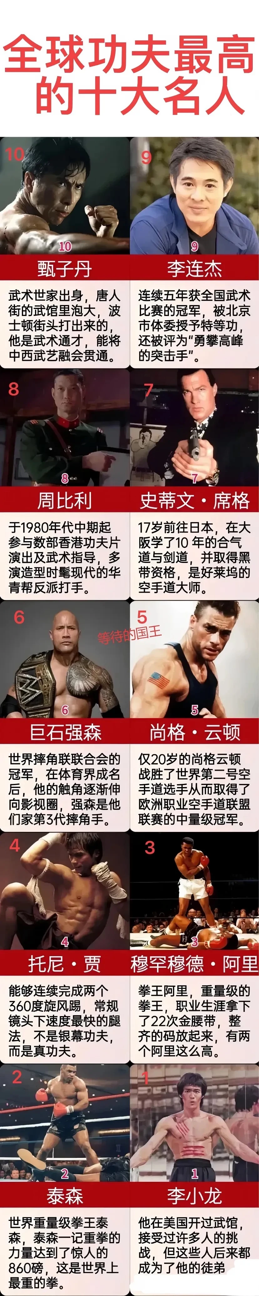 全球功夫最高的十大名人简介。
