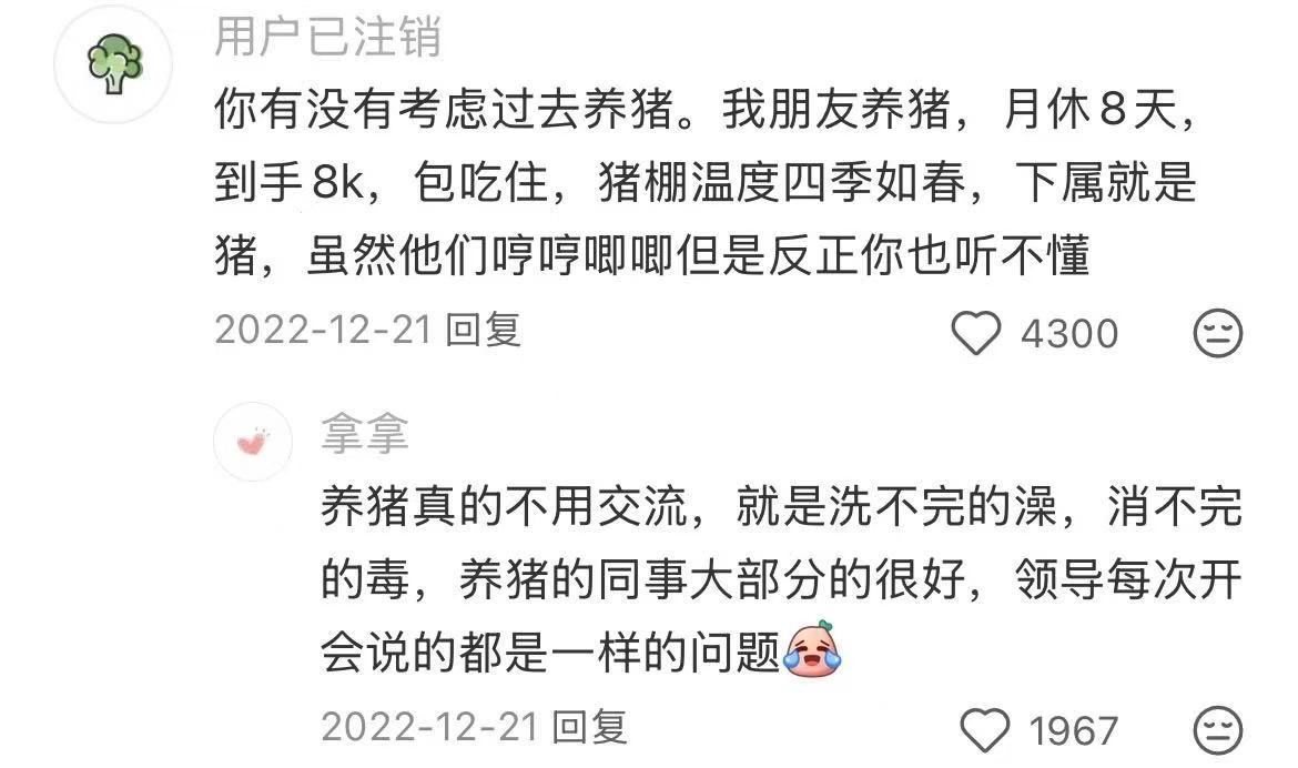 原来有这么多不用和人打交道的工作