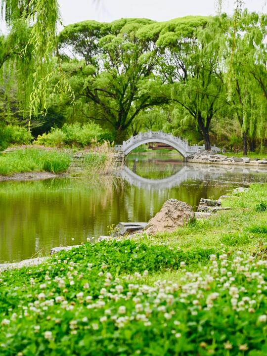 北京初夏的宝藏花园🌿适合遛弯拍照放空