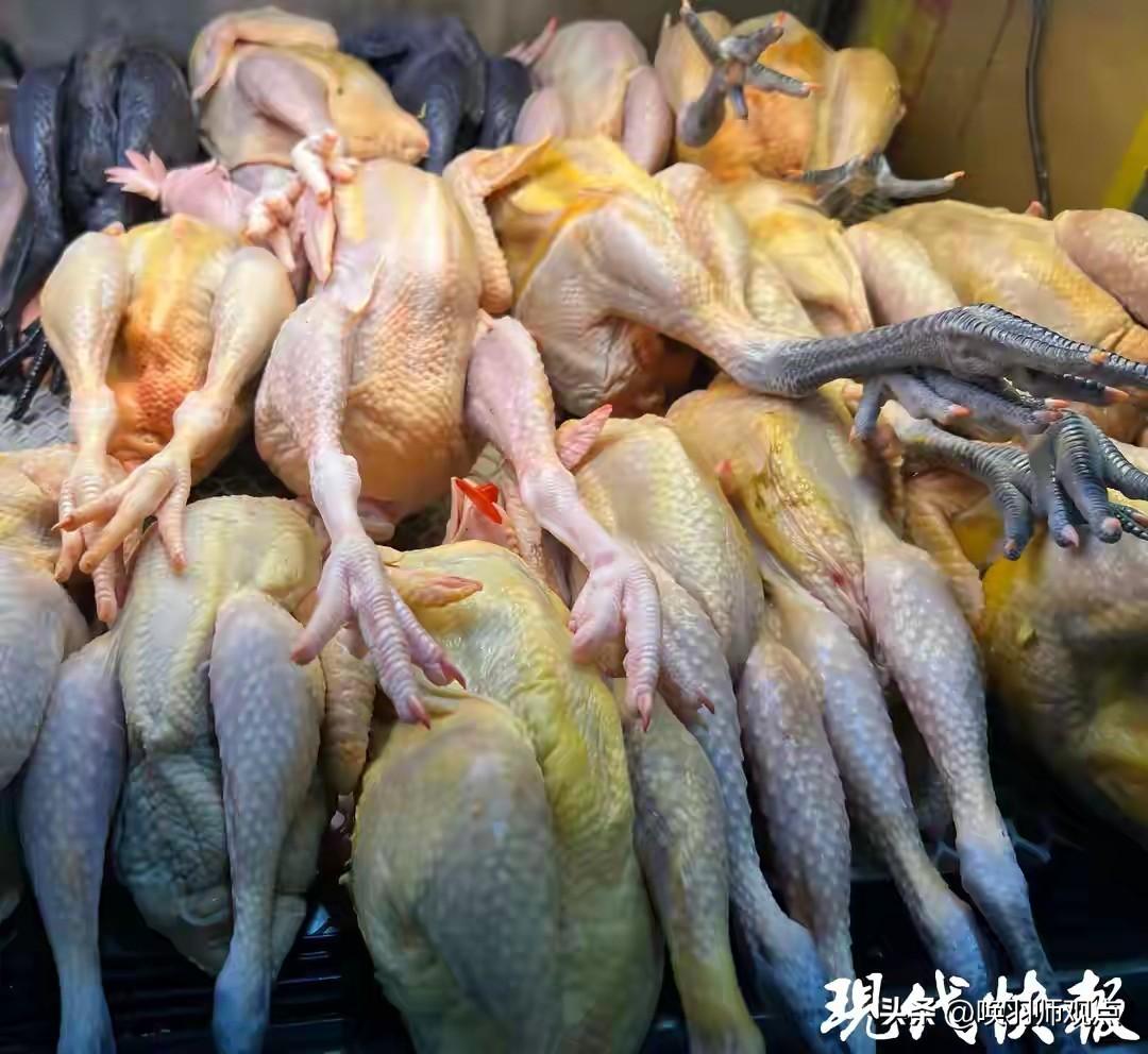 几十元买三只“老母鸡”？记者调查揭开真相：你煲的汤可能不是“老母鸡”近日，现