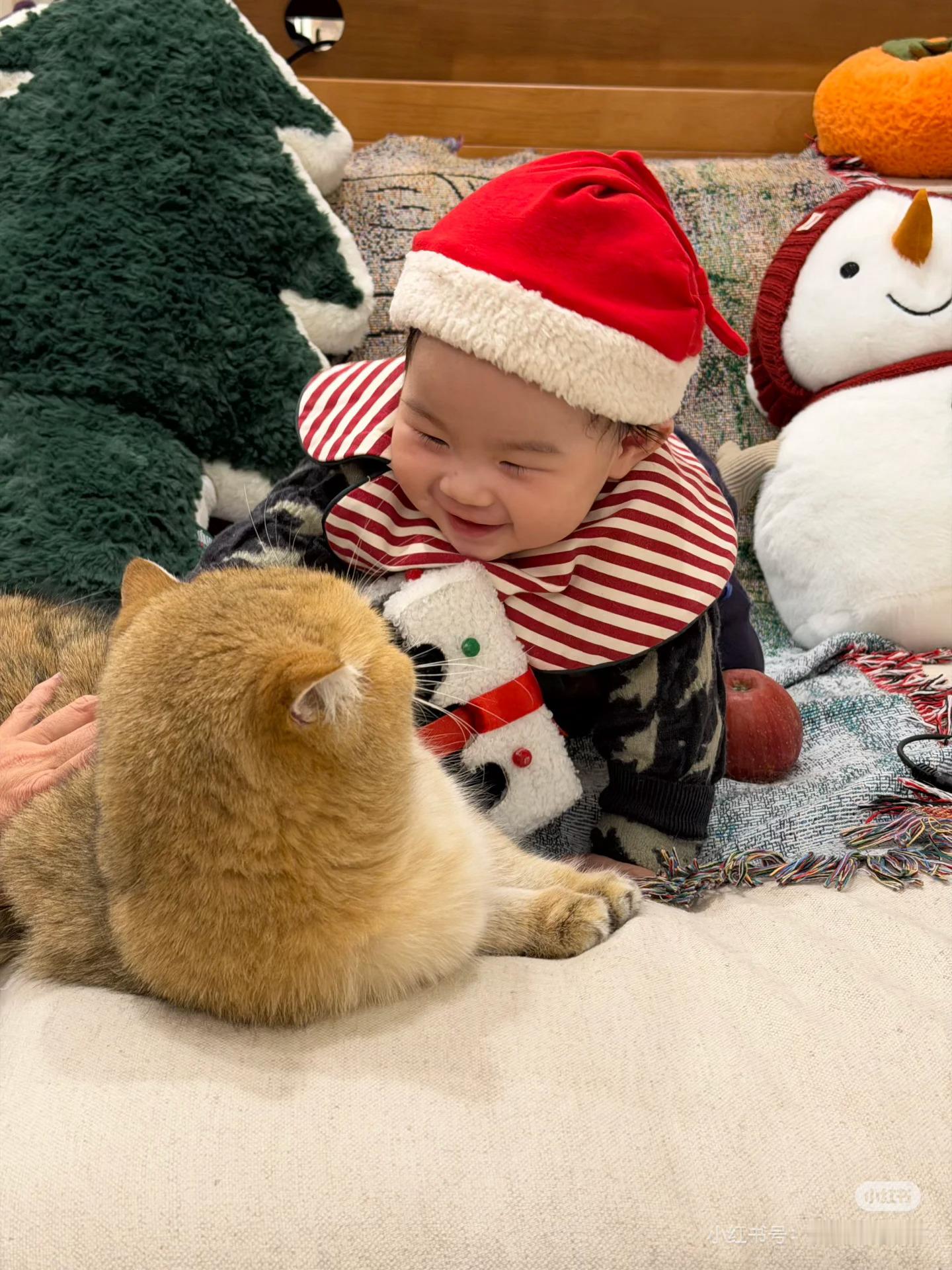 你moon好呀都来看这个大卡车咕噜瞬移时我们小芋圆的京剧变脸哈哈哈哈哈哈哈哈