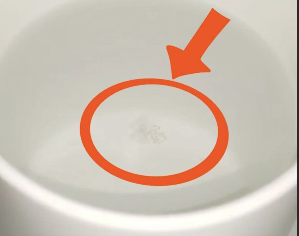 每天一条冷知识隔夜水杯里的透明胶状物可能是摇蚊卵块！雌性摇蚊会被水面反光吸引，