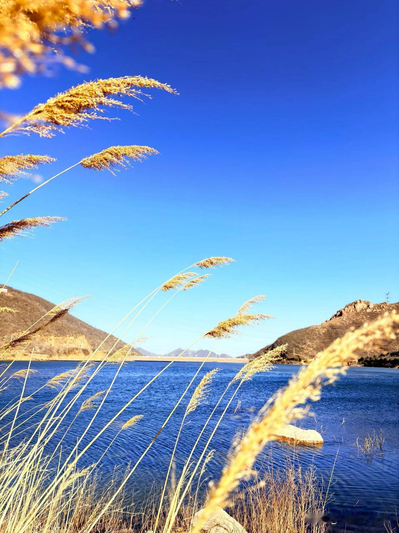 人到五十五，旁人都劝我日子该慢慢放平心态了。花钱别大手大脚瞎挥霍，也别抠抠搜搜亏