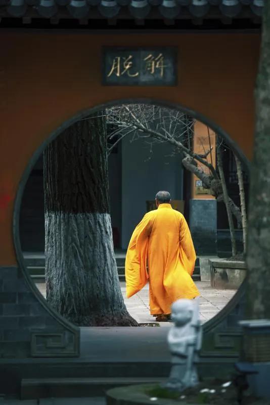 有僧说，菩提本无树。佛经有记，释佛在菩提树下大彻大悟。如果有菩提树，彼僧是否