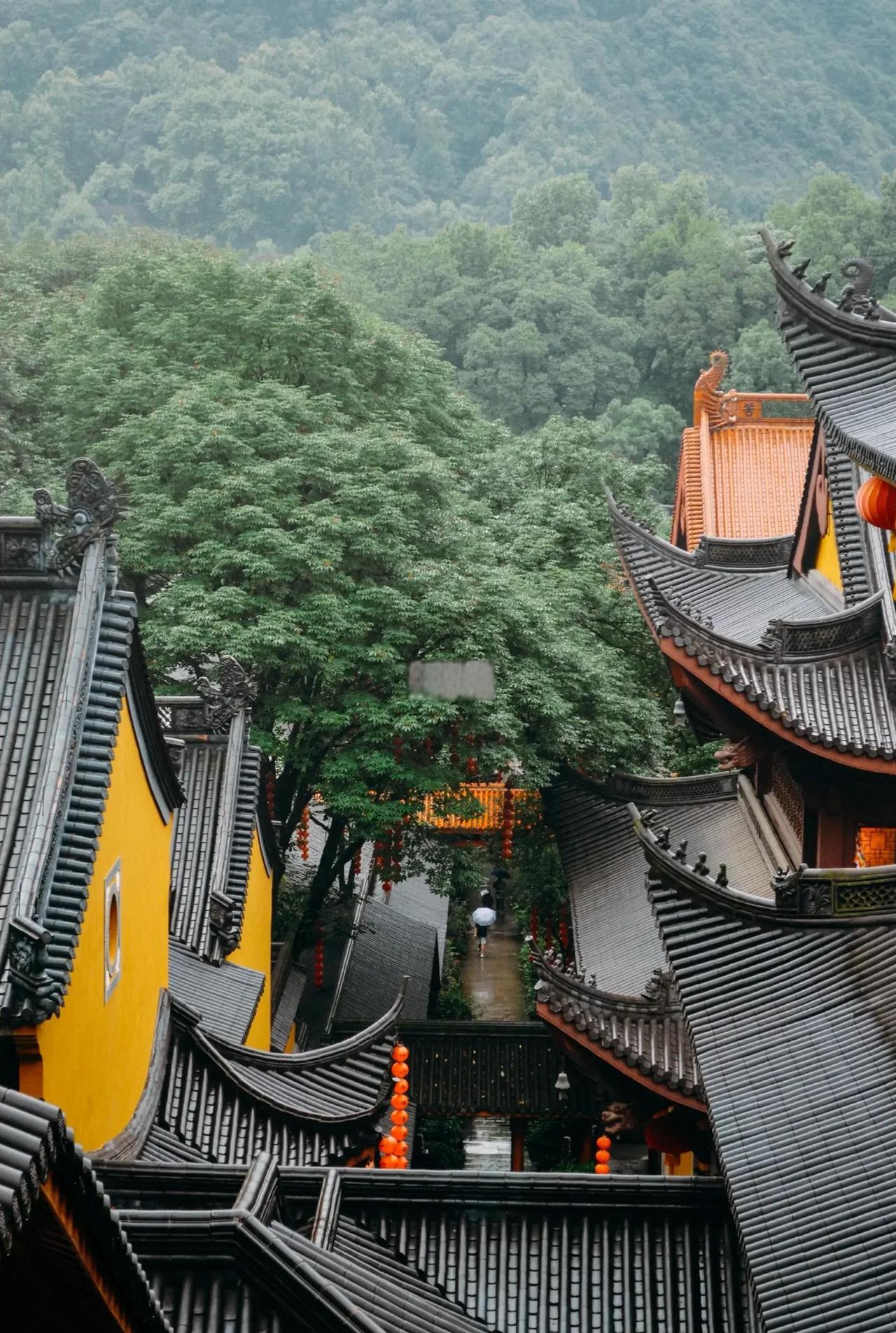 这个世界就是个巨大的精神病院，一事无成的男女睡了一觉，之后就能成为伟大的父母