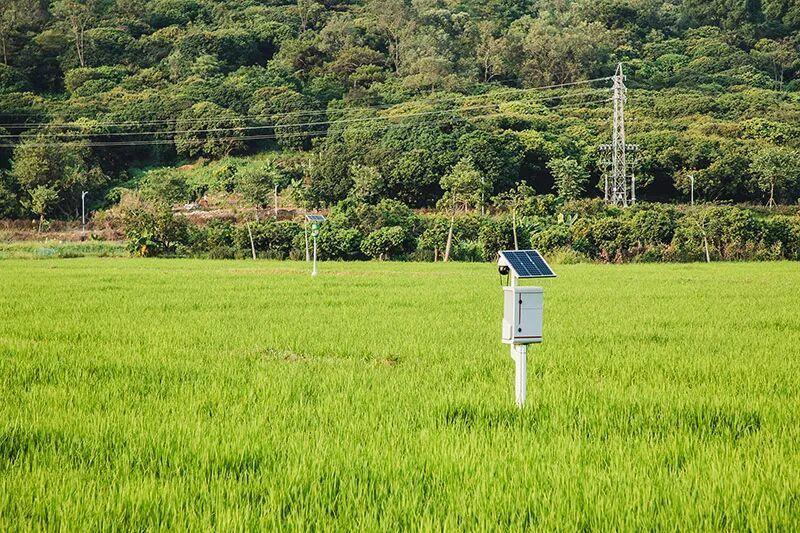 农田里突现“神秘设备”？国家安全部紧急拆除！背后暗藏的数据陷阱让人心惊你见过