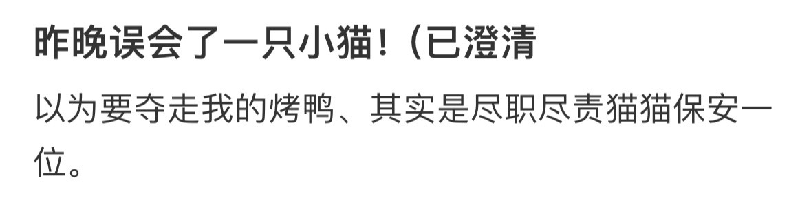 昨晚误会了一只小猫​​​