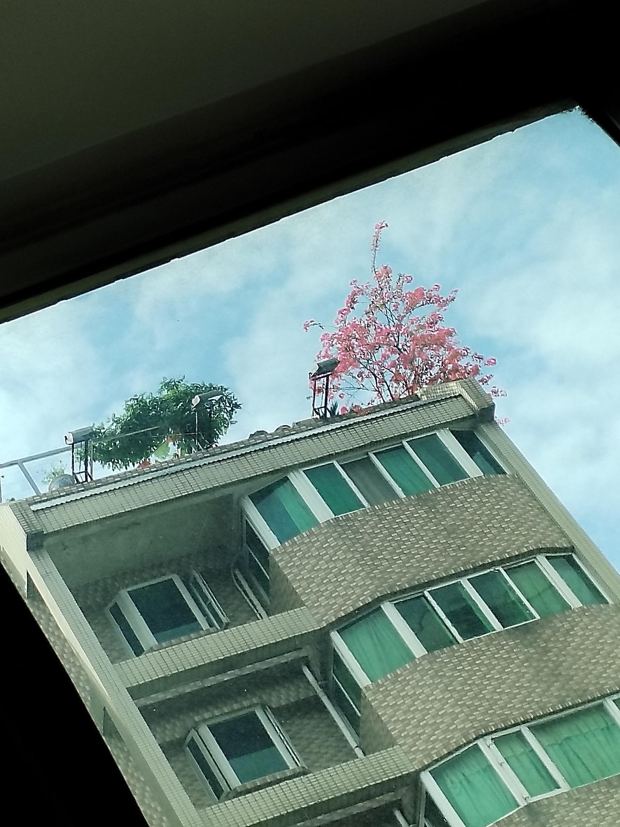 记录我的2026眼中的世界