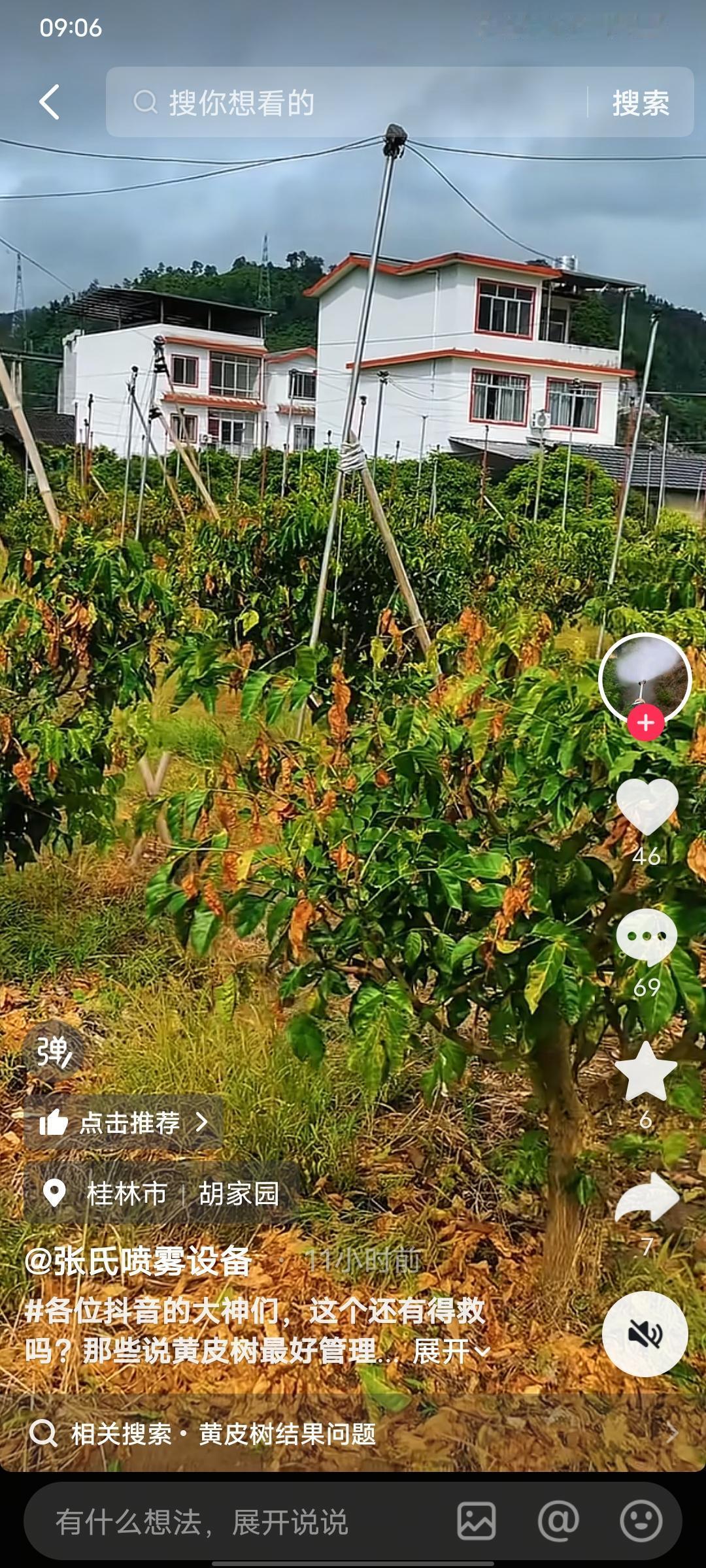 炭疽病诱因很多，但这个果园的病叫“手痒炭疽病”——太勤快反而害了树。桂林、桂北温