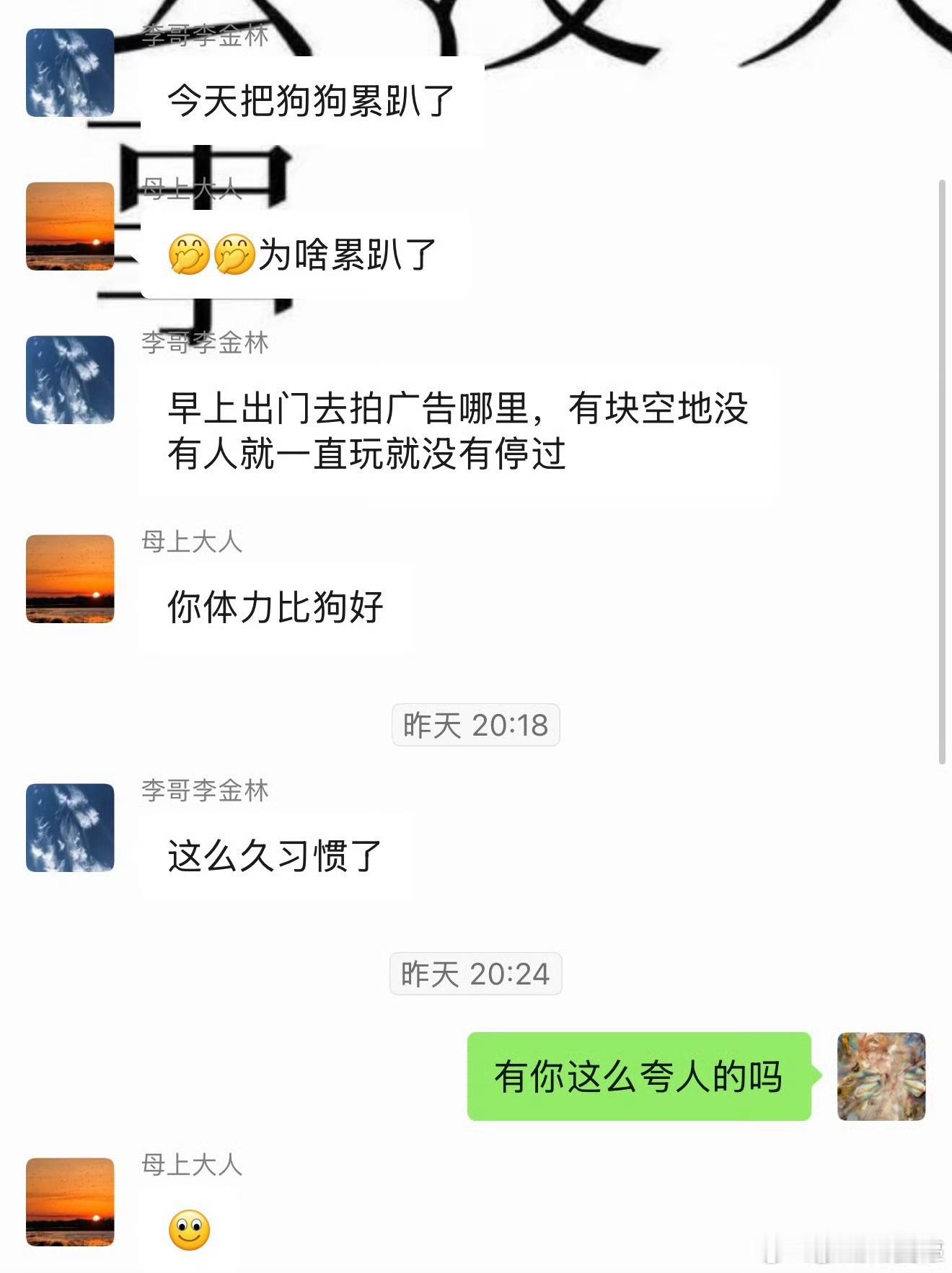 向涵之聊天记录是真敢发好有活人感啊哈哈哈哈哈