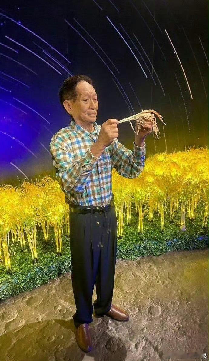 禾下乘凉梦，不忘植稻人，如果刷到，让我们一起向伟大的科学家袁隆平院士致敬​​​