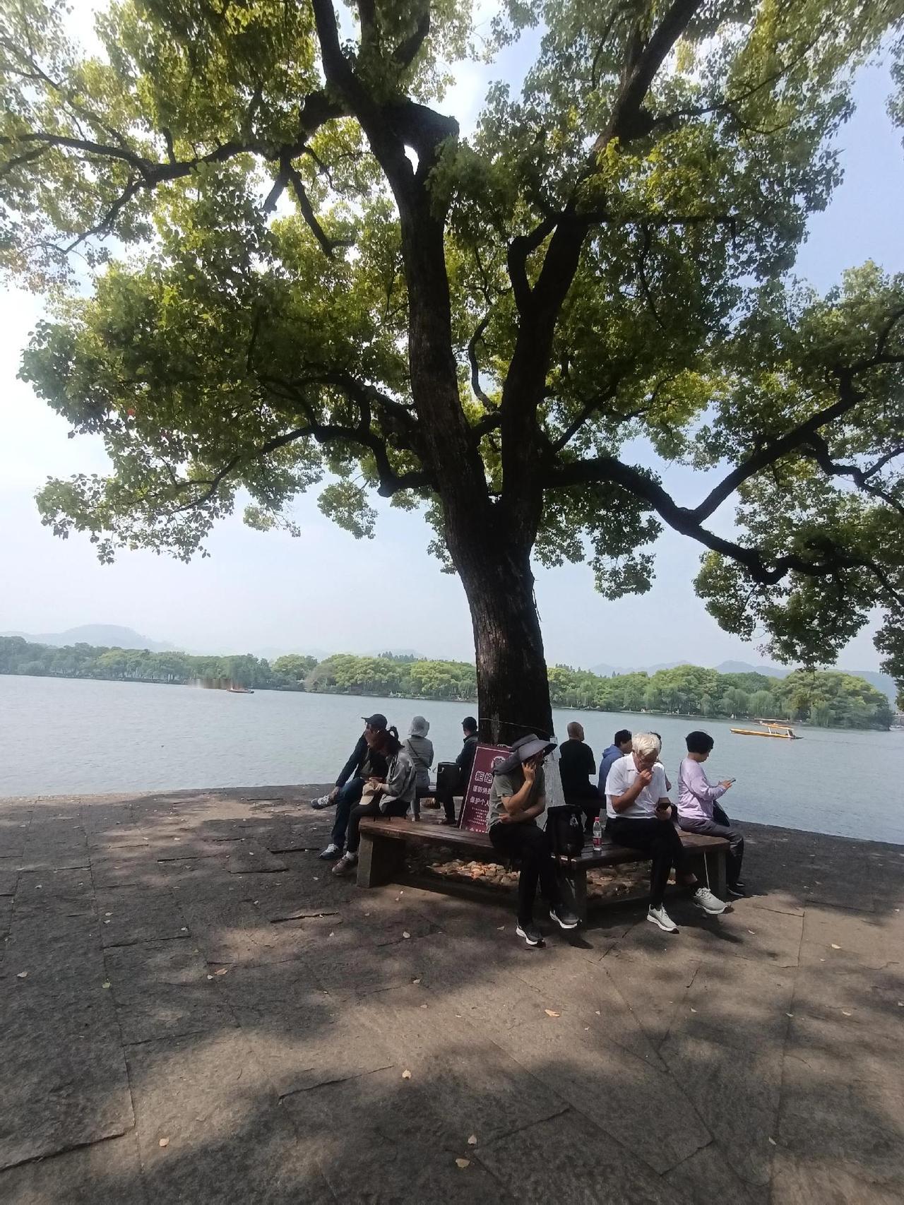 杭州人少景美出片，还鲜为人知的几个好去处，赶快收藏吧！别忘了点赞评哦：