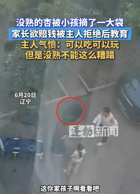 “吵翻了！”6月20日，辽宁一孩子在路边玩耍，看到树上结满了青杏，于是就摘了一大
