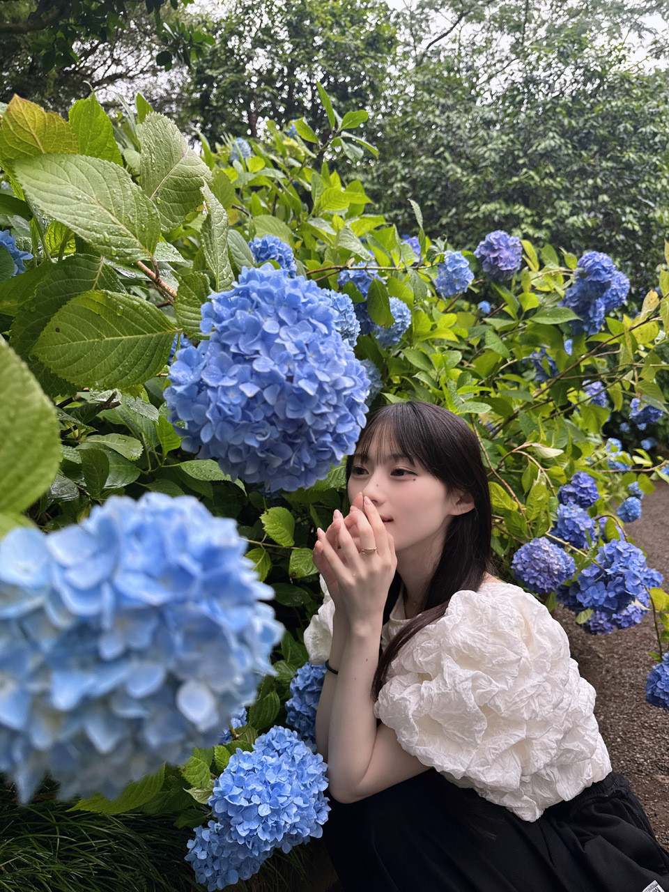川﨑桜「関東は梅雨入りしたみたいです。ジメジメは少し苦手だけど、道端に咲く紫陽花