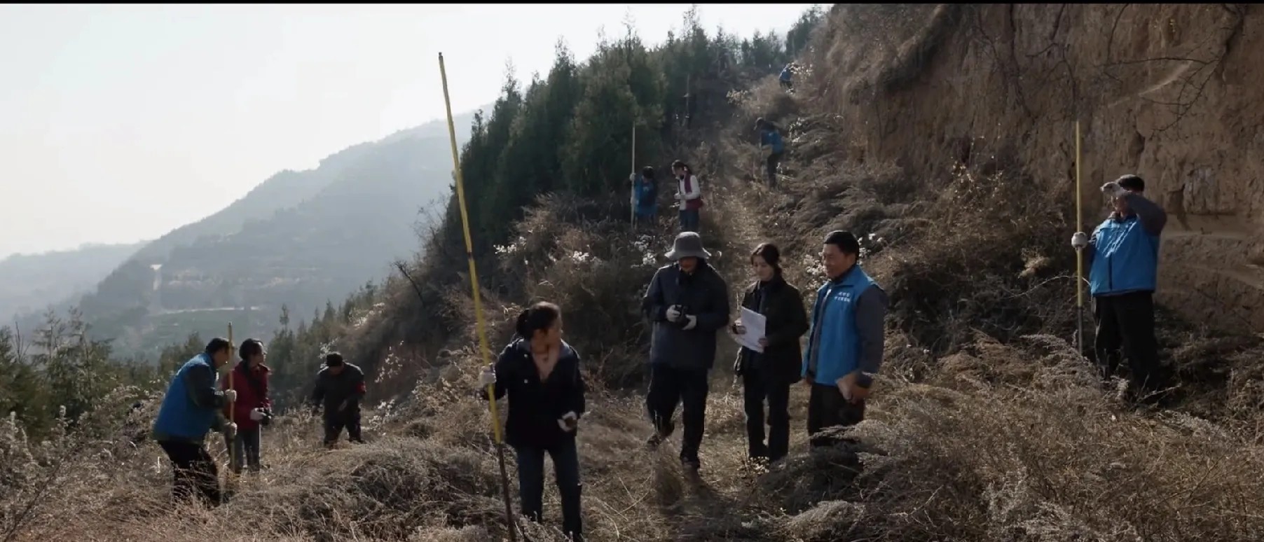 《护宝寻踪》这剧结局太快了，我都没整明白一件事儿，盗墓贼在月黑风高的夜里，咋就能