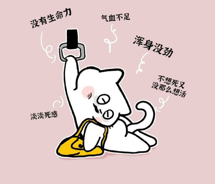 --命只有一条，--但要命的事有无数件。--