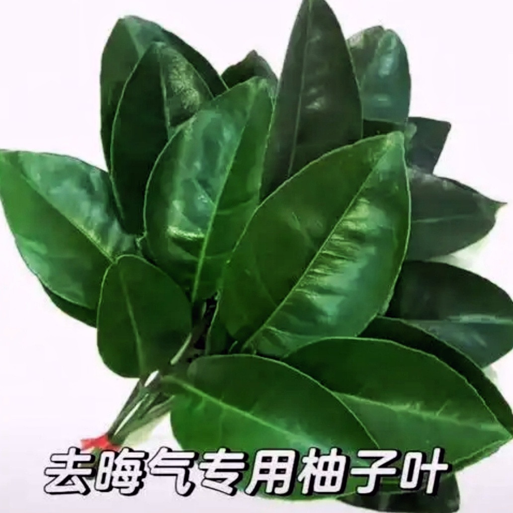 大清早的消消du:谁ceng刘宇宁谁hu。虎川地❤️。wu良人，wu热度就来c