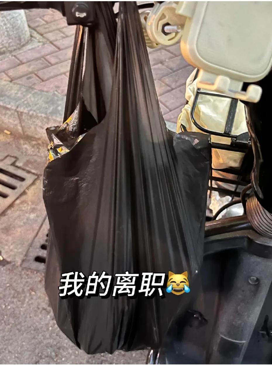 00牛马的离职，一个垃圾袋足以哈哈哈！我就纳闷了电视剧里拍的办公室里离职的都弄一