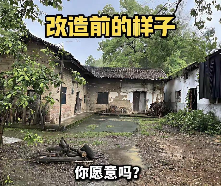 15万改造农村破院落，这只是其中一个风格。看到网友的大胆设计，真是让人眼前一惊。