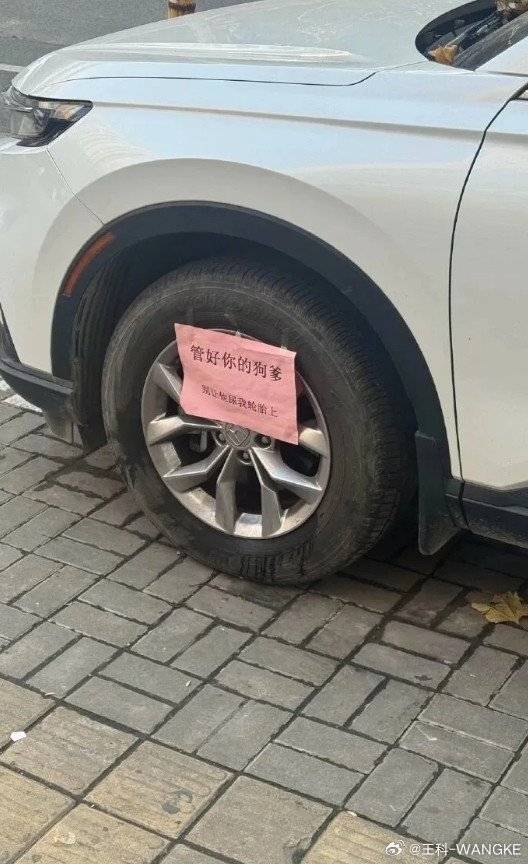 这是忍无可忍了吧！​​​​但我很担心，这种情况会引起更多的无良狗吧！​​​