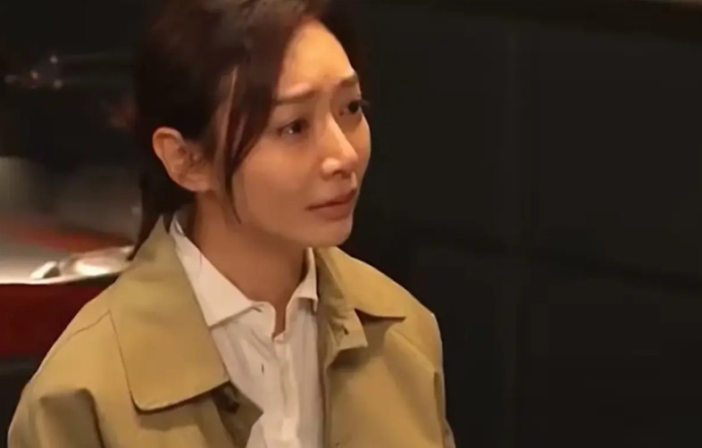 《以法之名》大结局：洪亮真的做梦都没有想，13年前的枪杀案，妻子竟然充当了这