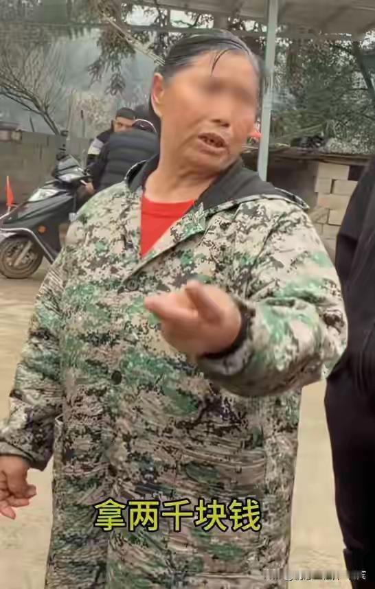 事儿不大，但是真的感受到了民风淳朴和这个村庄不沾边，这个村也变成了“抢猪村”，这