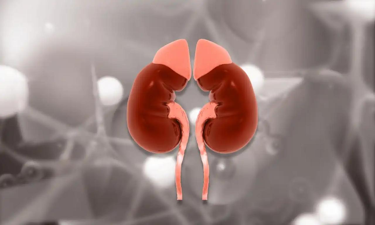 医生坦言：最伤害肾脏的行为，不是喝酒！而是频繁的去做这4件事 很多人都觉得喝