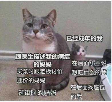 妈妈vs已经成年的我