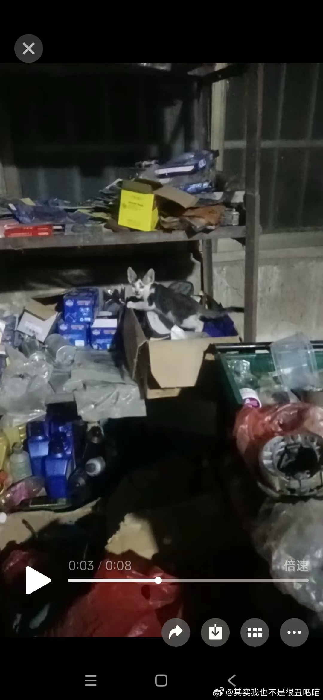 50400【丑猫】我的妈啊洗头老