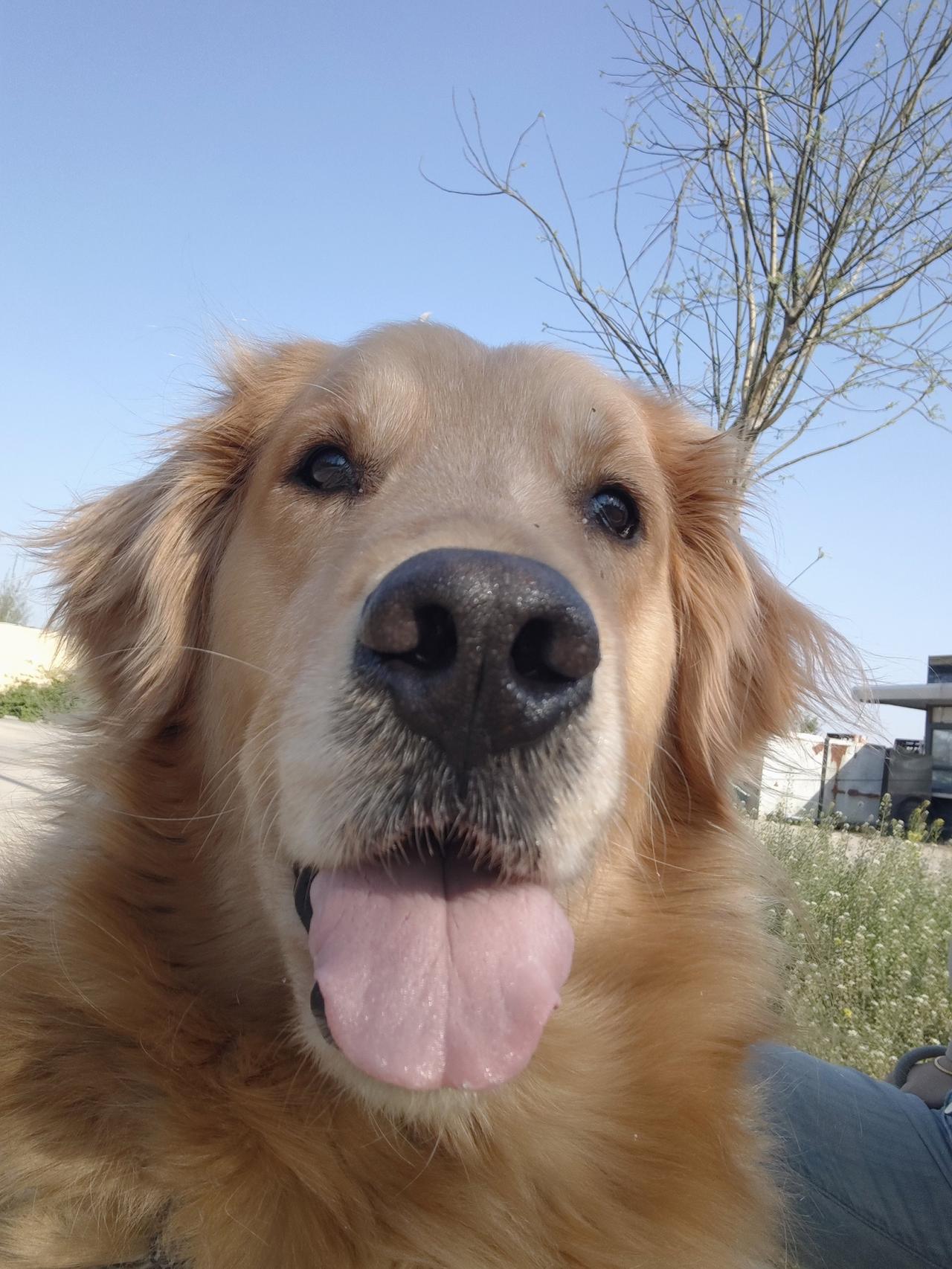 存款决定状态1.存款5000：啥都敢想，啥都敢冲2.存款2万：有点底气，