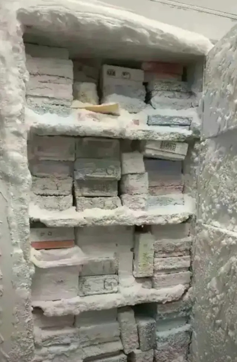 在黑龙江，冰箱忘通电了，就变成这样了